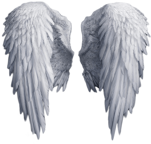 Angel Wings PNG