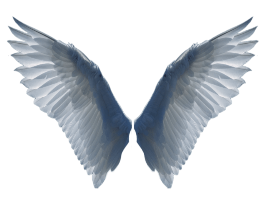 Angel Wings PNG