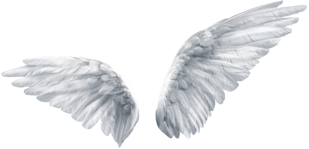 Angel Wings PNG