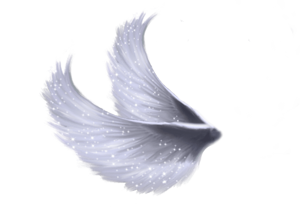 Angel Wings PNG
