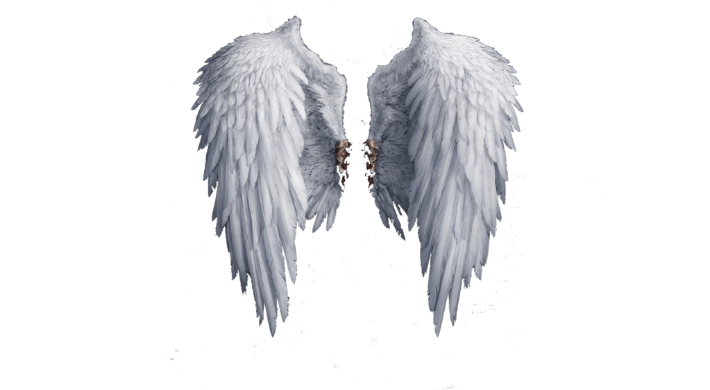 Angel Wings PNG