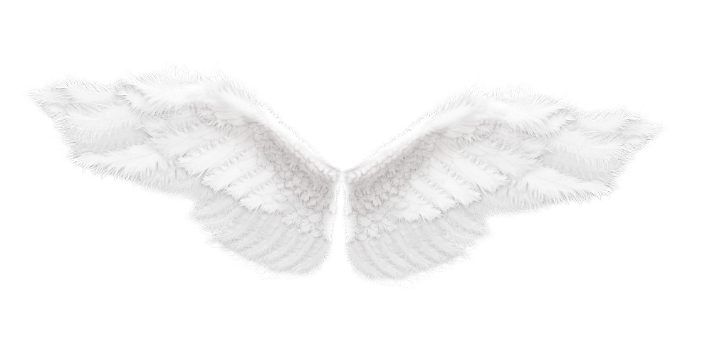Angel Wings PNG
