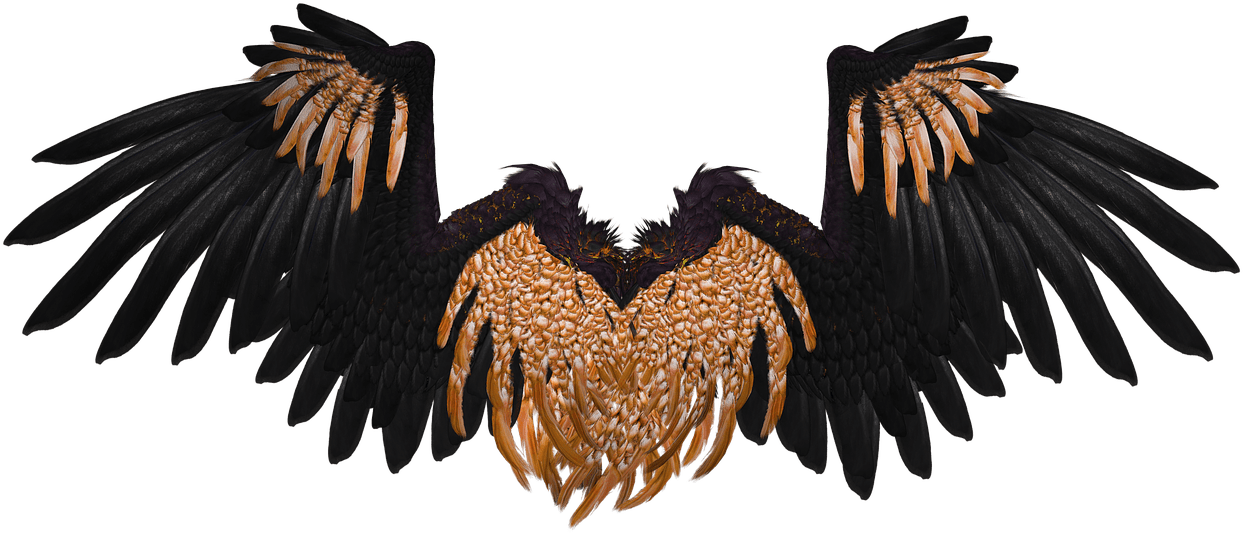 Angel Wings PNG