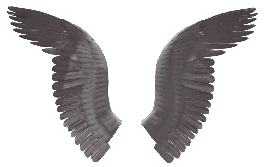 Angel Wings PNG