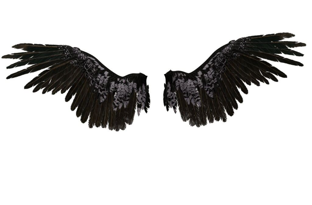 Angel Wings PNG