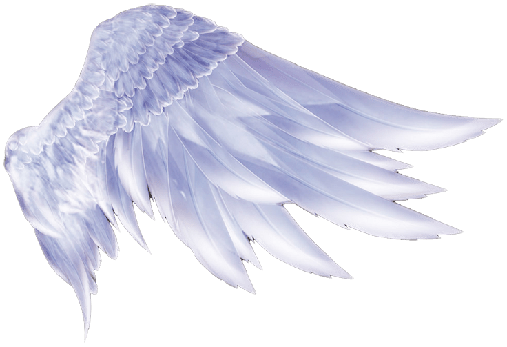 Angel Wings PNG