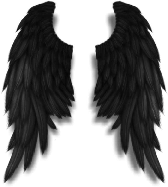 Angel Wings PNG