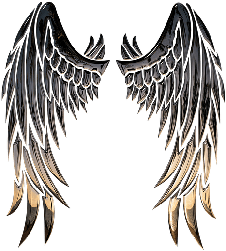 Angel Wings PNG