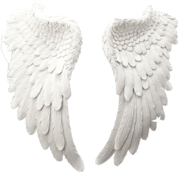 Angel Wings PNG